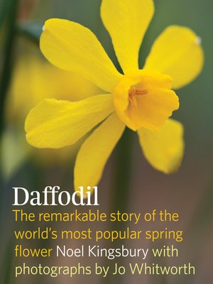 cover image of Daffodil